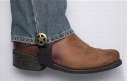 Stirrup Placement